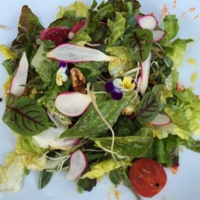 Gluten-free garden salad from Mesa Verde